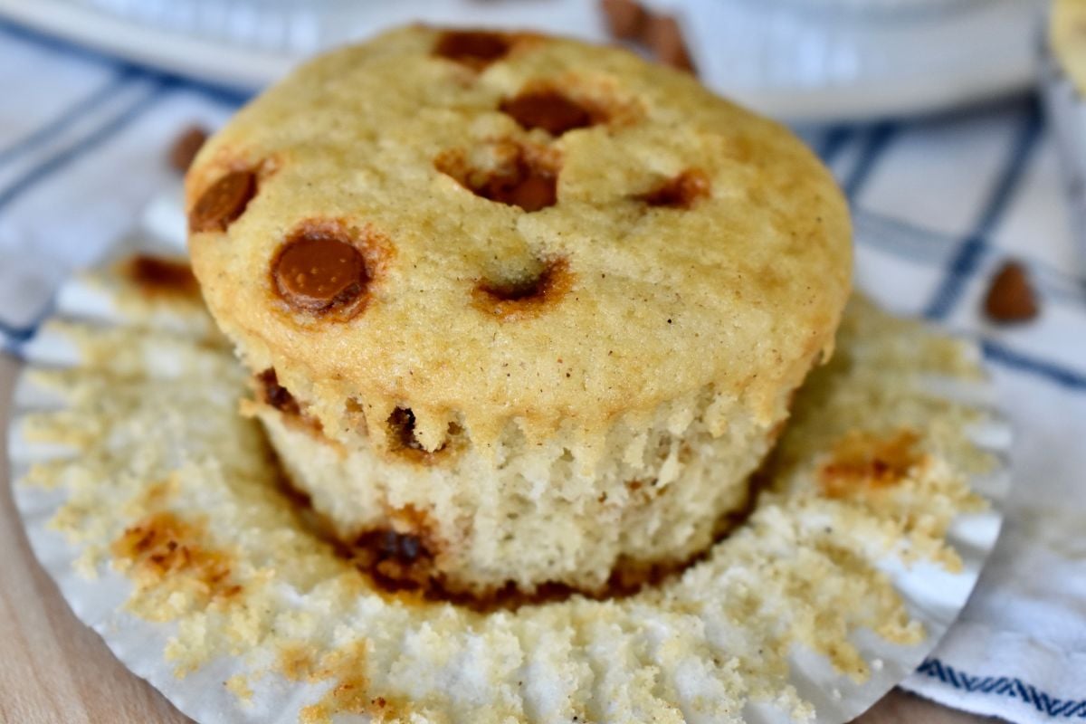 Cinnamon Chip Muffin without the cupcake liner. 